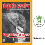 World Elephant Day