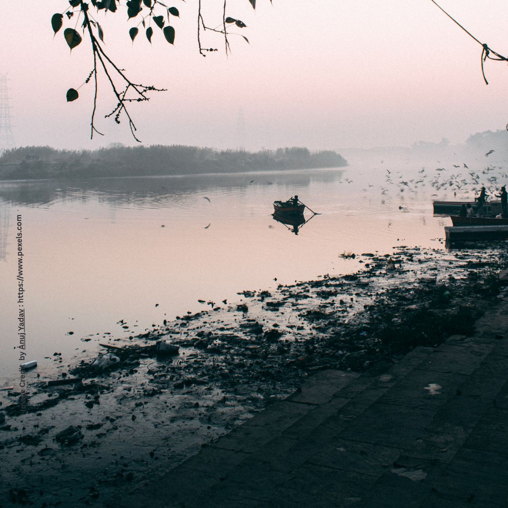 Yamuna's water level